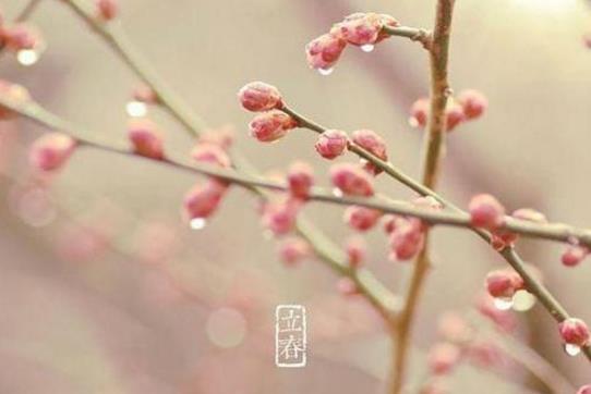 2019年立春是农历几月几日 2019年立春时间-八优楼